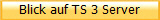 Blick auf TS 3 Server